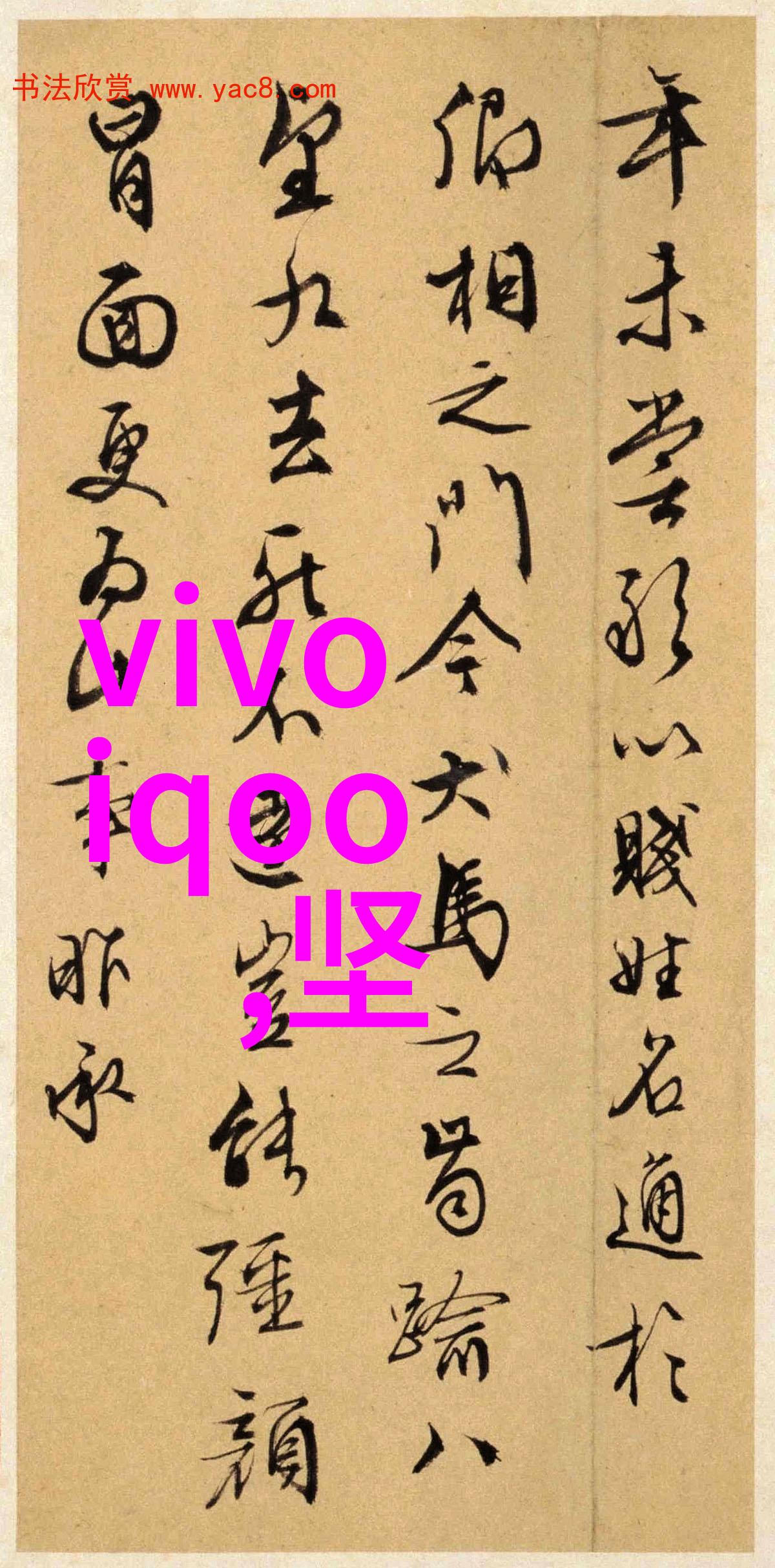 恋爱不负青春