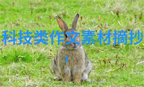 水质检测器的选择揭秘哪些仪器最适合你的需求