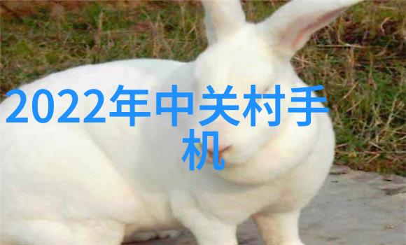 全包装修价格我是如何在不破产的情况下装修出美丽家居的
