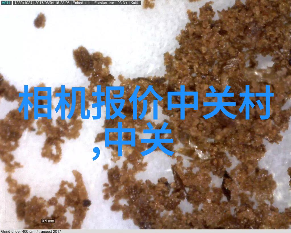 向日葵永远朝向你的笑容