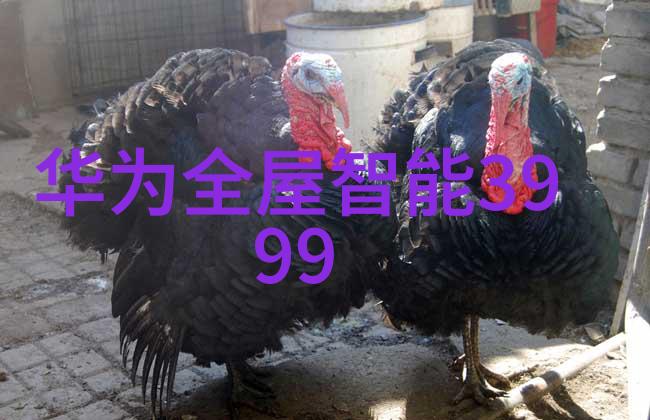 低能耗且环保的cold storage design理念和实践