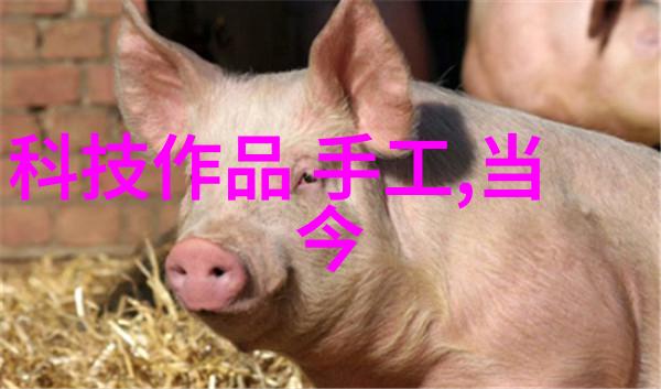 丝网波纹填料规范化标准制定与应用实践