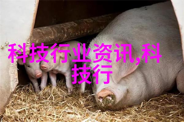 卖39元不锈钢制品批发我这儿有个超划算的好货等你来拿