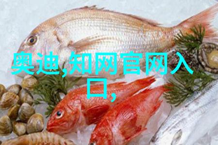 振动料斗技术革新提升颗粒物料搬运效率与精度