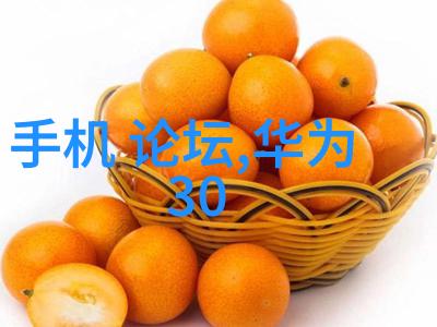 未来住宅趋势预测  Zhengzhou 装饰行业领先者的见解与展望