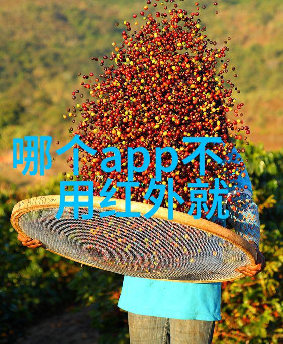 拥抱数字友谊数码宝贝游戏大全有哪些精彩之选