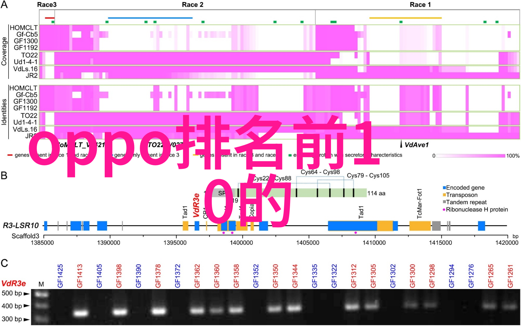 中国原材料采购网打造行业领先的资源供应平台