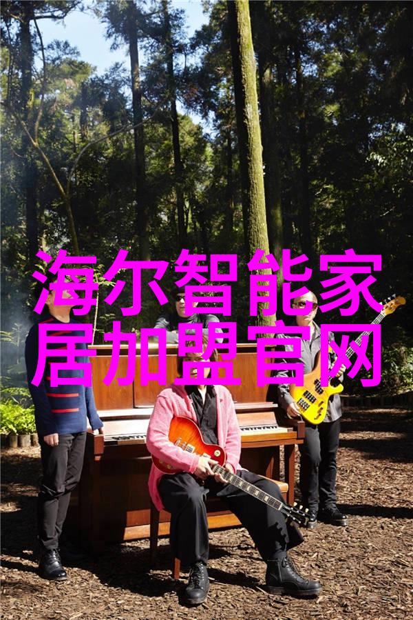 家庭聚焦点优雅乡土气息下的农村客厅规划案例研究