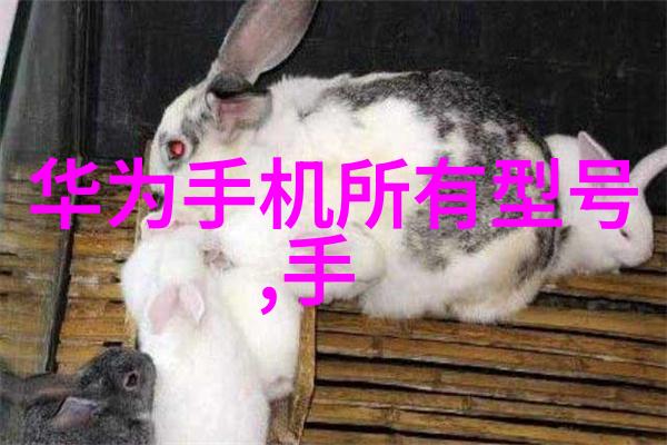 揭秘水质电解器的骗局水质净化器电解板效能健康饮用水