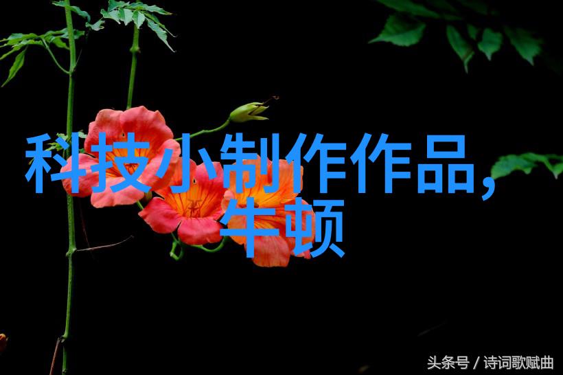检测前行张珊珊机构的执业之旅