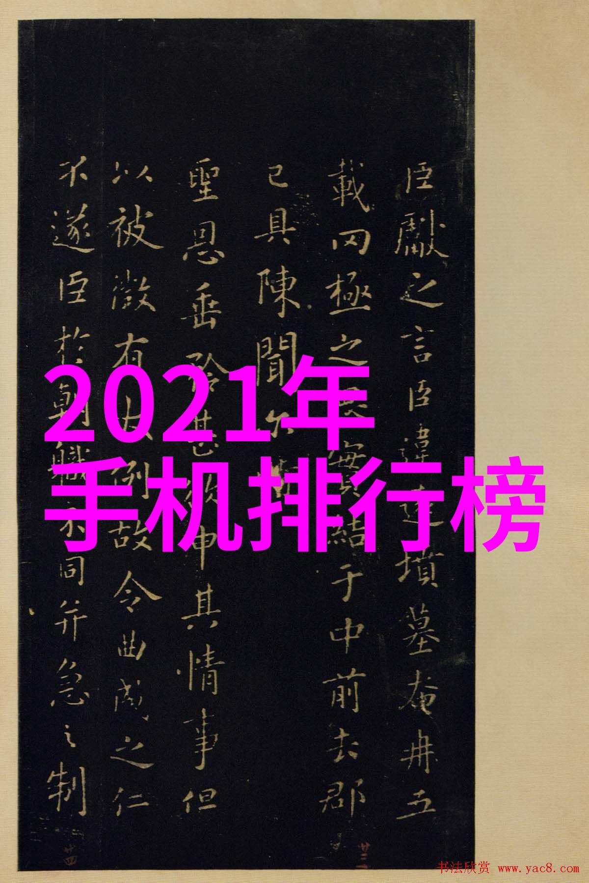 从基础到高级深入了解和下载不同类型的动物行为监控软件