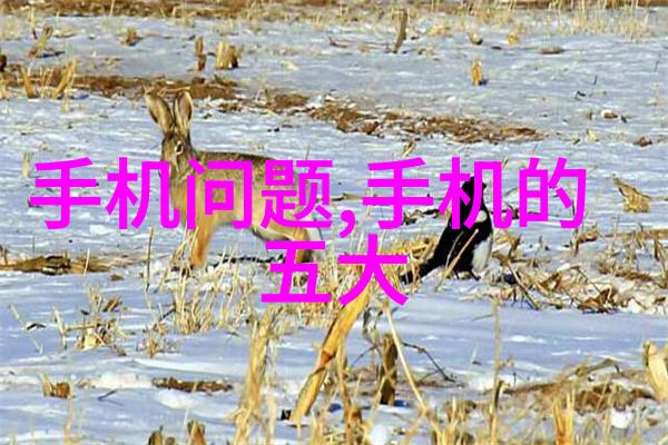 汽车配件回收未来之路在哪里