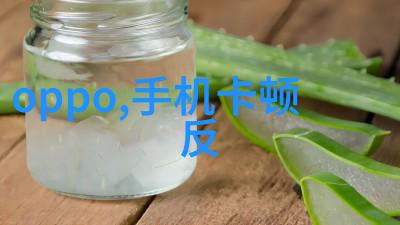 制冷设备-精确控制的艺术现代制冷设备技术与应用