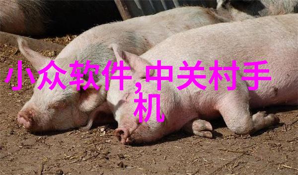 塑料烘干机设备的应用与维护要点