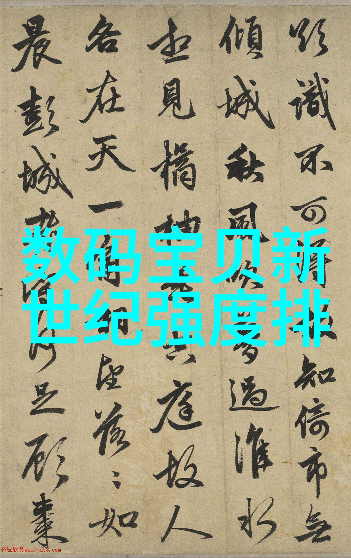 垃圾边界危险废弃的第三方守望者