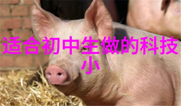 八大装修风格探秘从现代至复古每一款都有其独特魅力