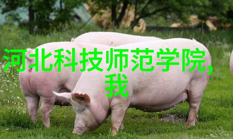 小规模工厂如何利用经济型废气处理设备提高生产效率
