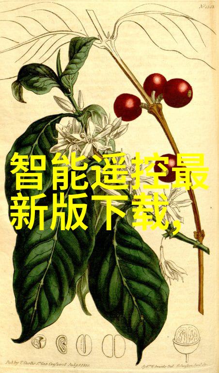 提升居住质量了解墙面材料的选择与使用方法