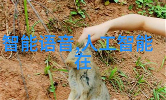 空气的秘密分离设备背后的未知力量