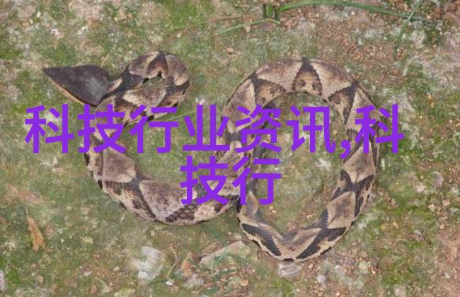 班长忘带口罩的尴尬一课