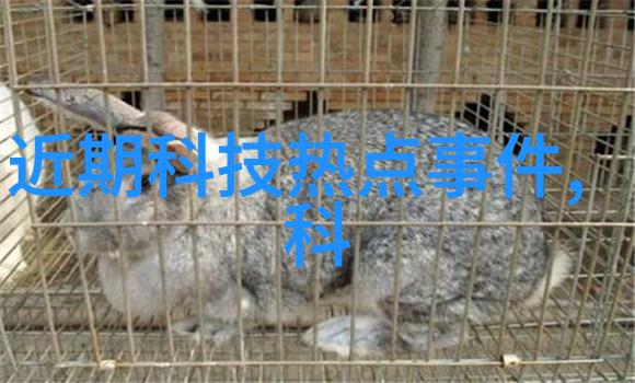 深圳汽车配件批发市场配件天堂