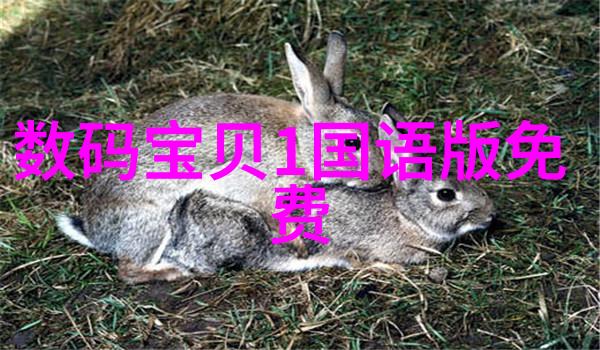 搪瓷反应釜中的静谧旋转500L的守护者