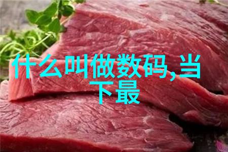 离心脱水机的原理与结构 - 旋转泵效应与分离器设计