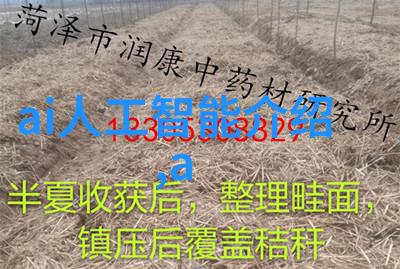 微波杀菌的奥秘高频振荡与热量的巧妙结合