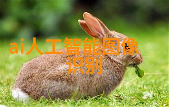 天府之国的技艺传承邯郸职业技术学院的精彩故事
