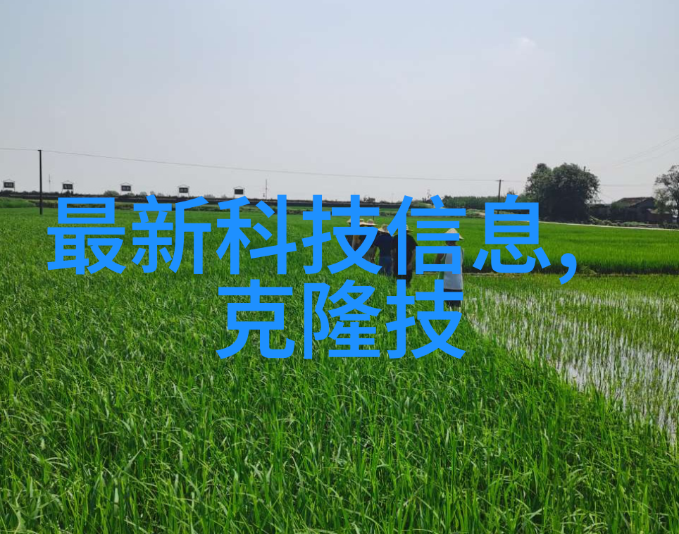 铜铁分离机器设备我是如何用一台神奇的机器让废料变成有价值资源的