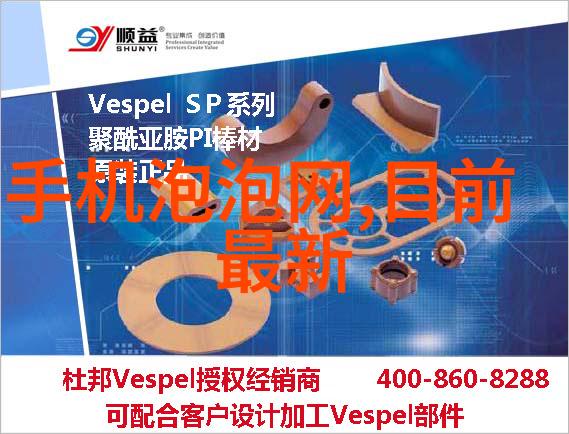 净制学探索纯粹与效率的哲学与实践