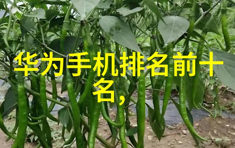 生态系统保护大型自来水过滤设备如何促进河流健康恢复