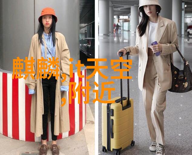 申请报告编制指南让你的申请书如虎添翼