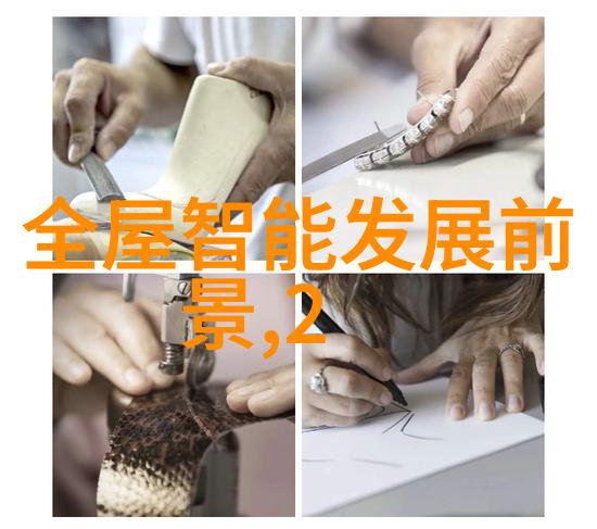 陈译辉财经新视角解读金融市场的智慧与策略