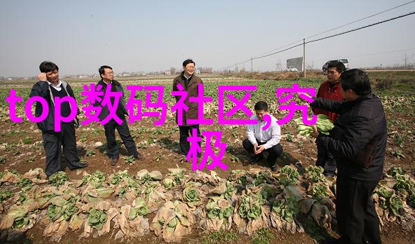 无缝对接快速完成揭秘全包圓名单流程优化技术
