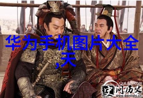 网络的智者与码流的守护者