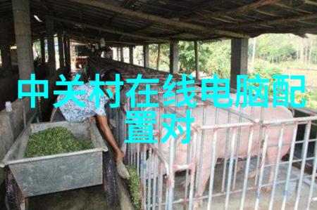 啄木鸟的智慧生活森林中的勤劳小工