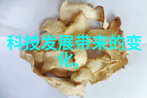 厨房装修效果图欣赏美食家私人厨房设计