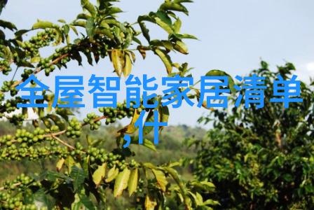 湖南省首都的美丽面貌长沙装修艺术的探索与实践