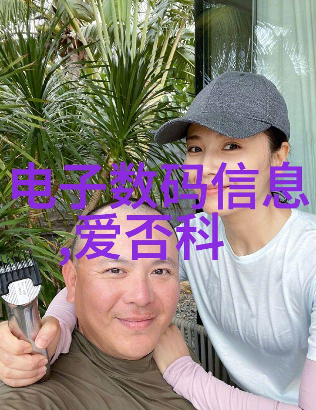 风云际会飞燕惊龙的传奇征途