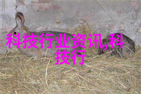 耳畔柔情你别咬我耳朵呀