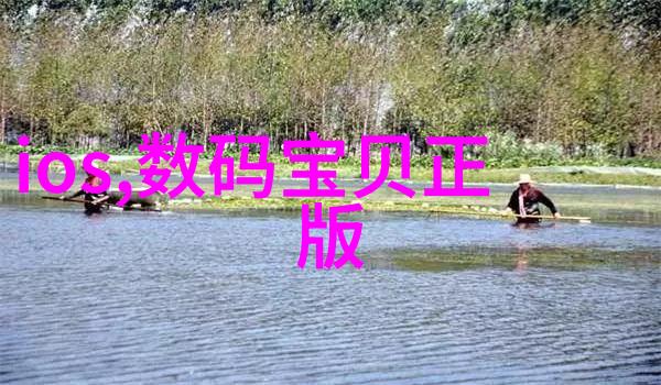 夫妻之间免费的视频-共享时光探索无需成本的婚姻美好