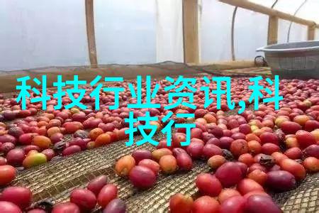 高效片剂机械现代制药行业的核心驱动力