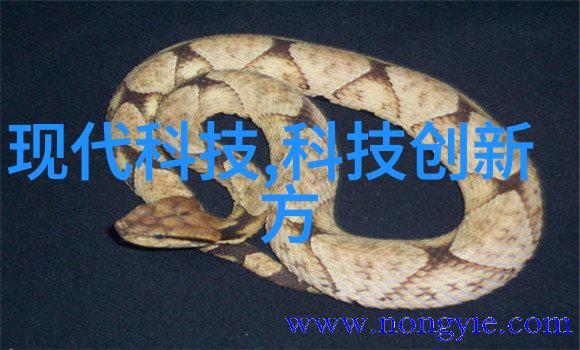 尚层别墅装修设计案例-雅致复古尚层别墅温馨奢华的时尚生活空间