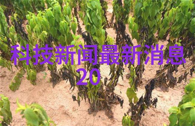 对于不同材料的产品我们应该采用何种丝网波纹填料装填方法