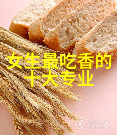 塔式填料设备的直径设计考量