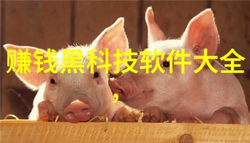实木家具艺术探索自然之美与手工艺的完美结合