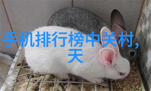 探究水质检测28项费用成本分析与服务比较