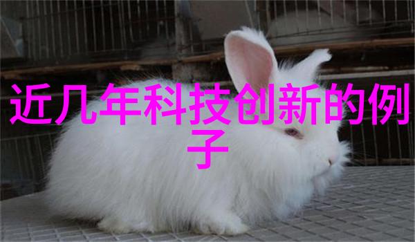 混凝土结构工程施工质量验收规范我是如何通过这份标准确保大楼的牢固与安全的