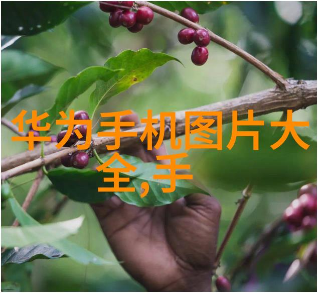 智能轨道交通智慧连接未来城市的智能轨道交通系统